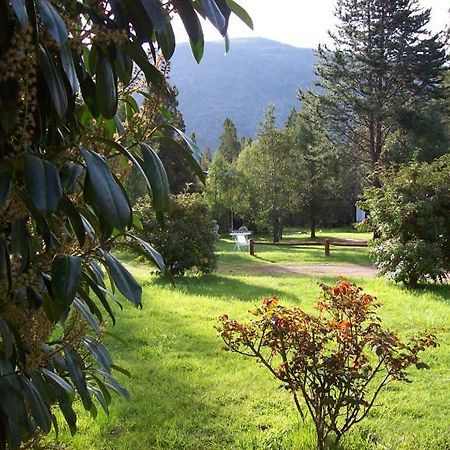 Cabañas Auquin Lemu Lago Puelo Exterior foto